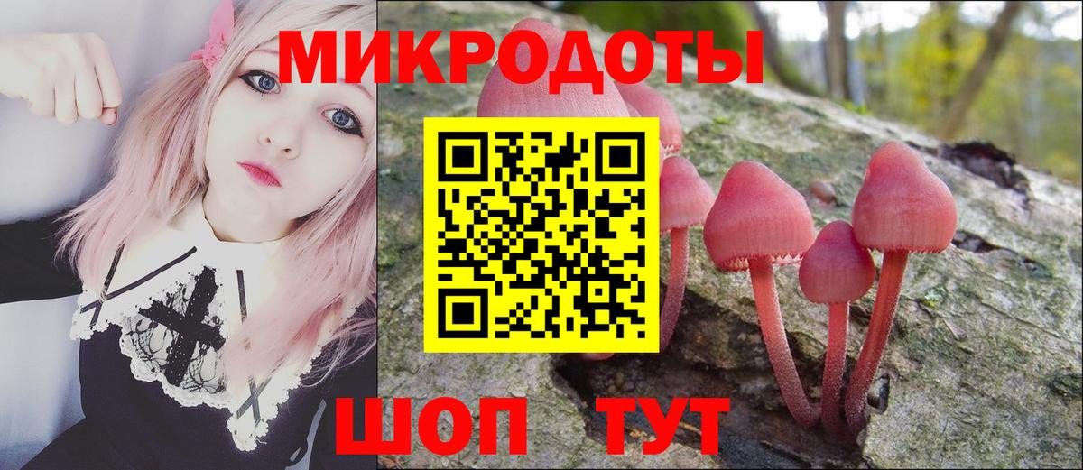 Галлюциногенные грибы Magic Shrooms Котовск
