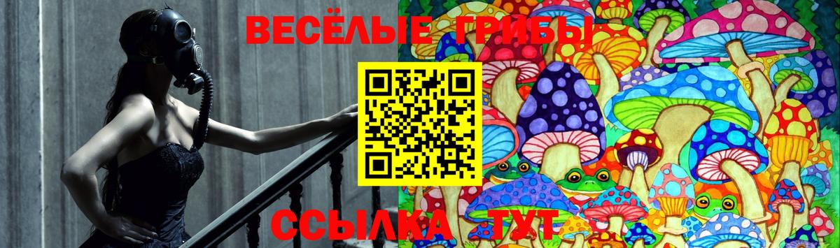 Галлюциногенные грибы мицелий  Галлюциногенные грибы Magic Shrooms  Вход с VPN  Котовск 